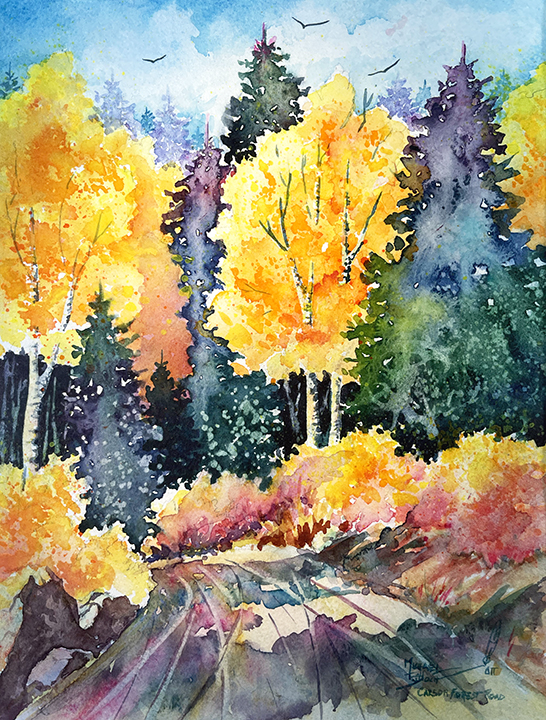 CarsonForestRoad72