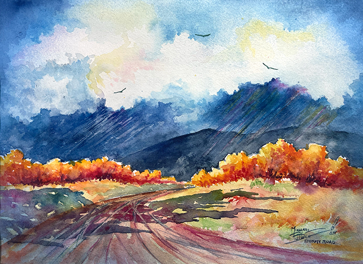StormyRoad72